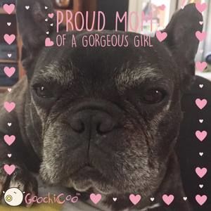 Meet your Posher, Regina